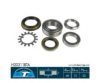 BTA H20311BTA Wheel Bearing Kit